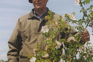 Erik "Farmer" Hansen in a Hyben Vital Lito flower field.
