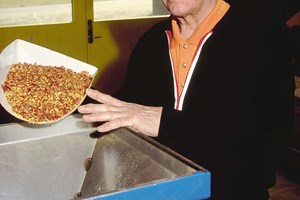 Erik "Farmer" Hansen here shows the crushed Hyben Vital Lito before further processing.