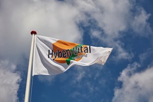 Hyben Vital Flag